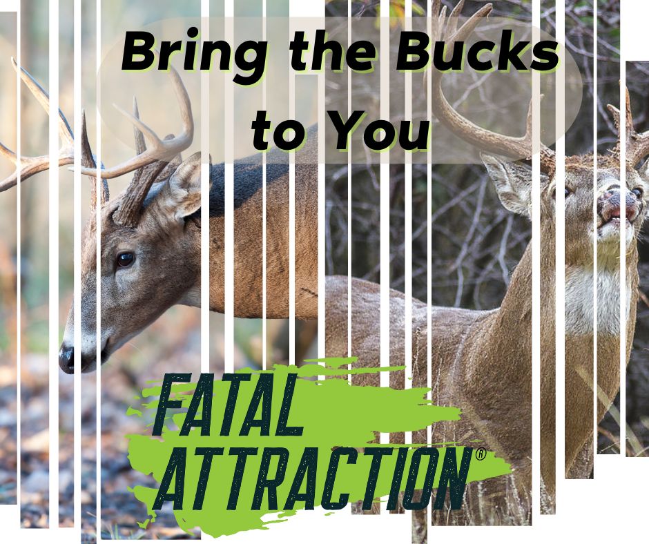 Deer Attractant; Realtree Fatal Attraction Deer Attractant & Scent Cover