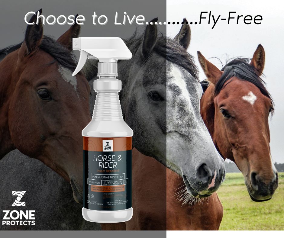 Horse & Rider Equine Fly/Insect Repellent Spray, 32oz