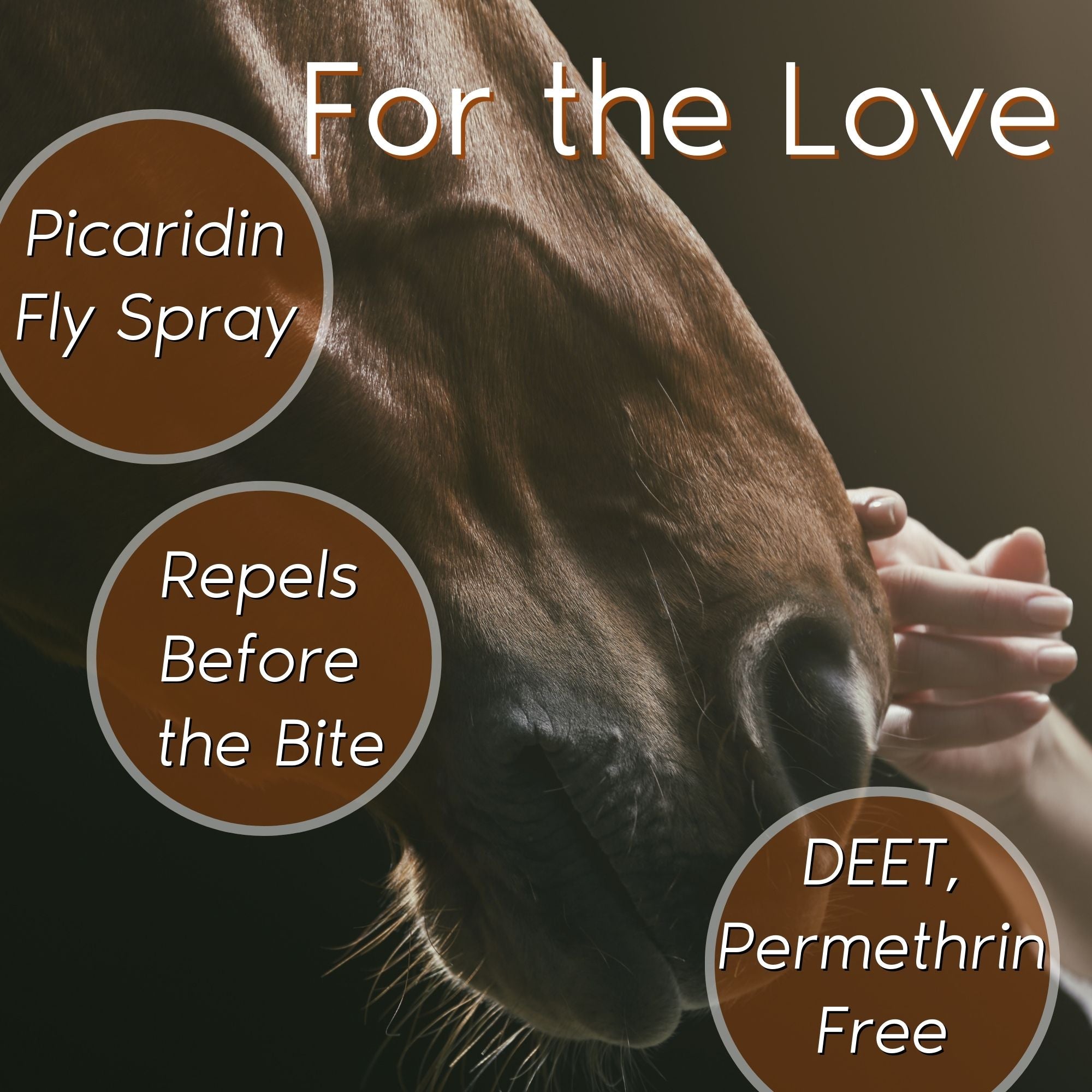 Horse & Rider Equine Fly/Insect Repellent Refill