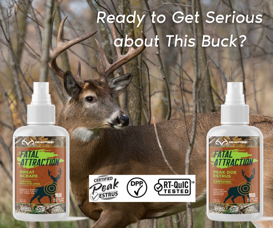 Deer Attractants; Realtree Fatal Attraction Big Buck Bundle