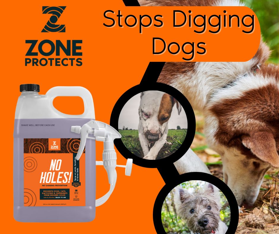 Zone Protects No Holes! Digging Prevention Concentrate/Gallon Trigger Sprayer