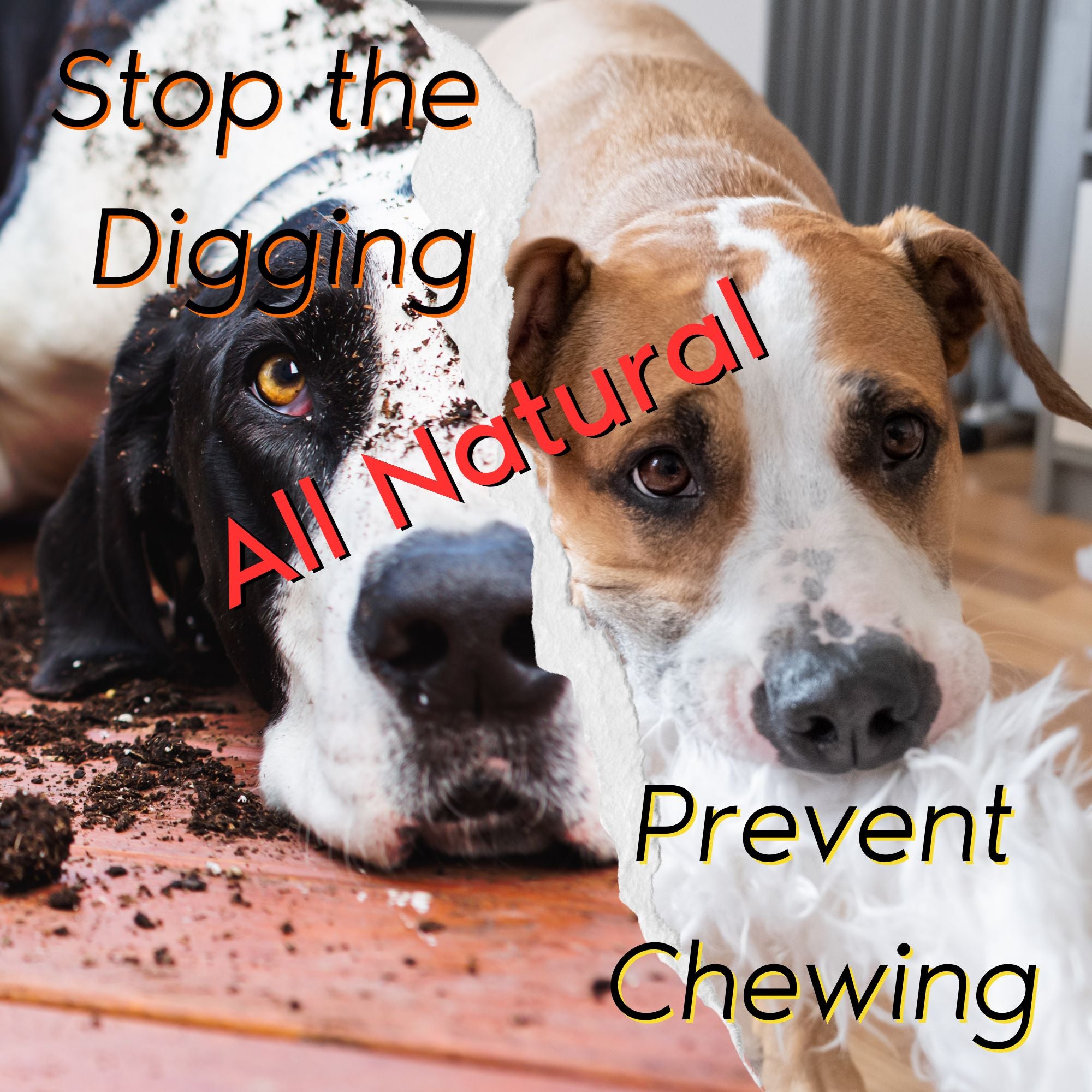 Chewing/Digging Prevention; Bad Dog Training Bundle Redirect