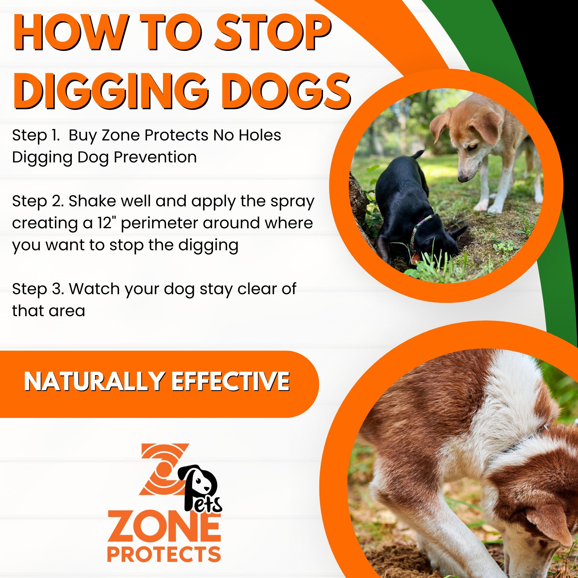No Holes! Digging Prevention Concentrate - Twin Bundle